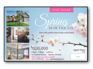 Just-Listed-Postcard-Cherry-Blossoms-DBCDigital